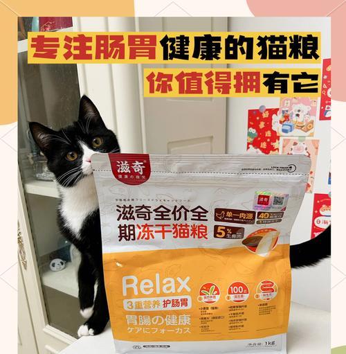 加菲猫肠胃敏感应选哪种猫粮？哪些品牌更推荐？