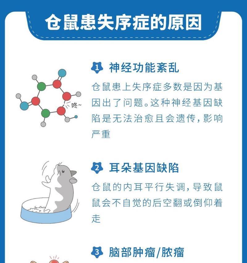 仓鼠吃鼠粮好还是蔬菜好？哪种更适合仓鼠的营养需求？