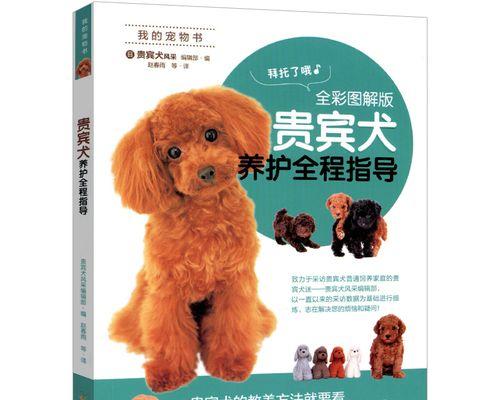 贵宾犬训犬粮哪款好吃？推荐哪款？