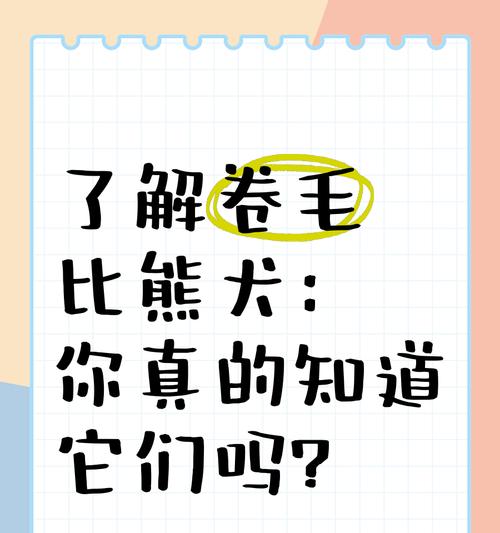 比熊犬食用咸肉：会有哪些影响？