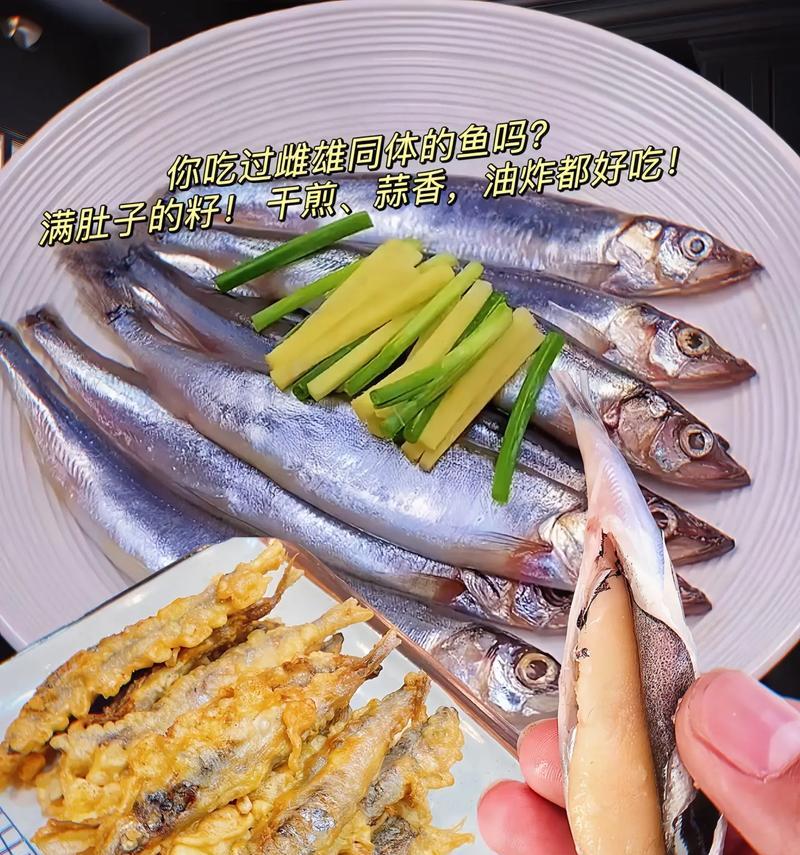 多春鱼可以作为宠物辅食吗？多春鱼对宠物有哪些营养价值？