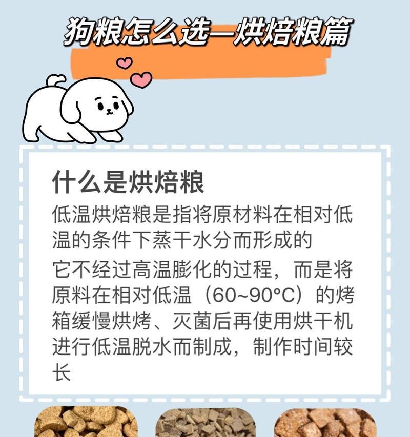 中型犬四个月吃多少狗粮合适呢？如何科学喂养？