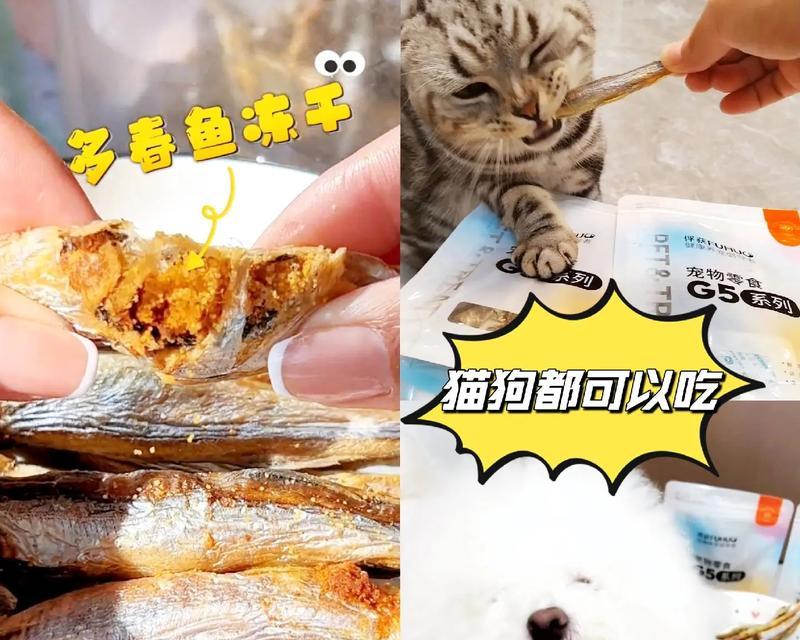 多春鱼猫咪每天应该吃多少克？如何确定合适的食用量？