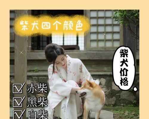 黑赤柴犬的市场价格是多少？购买时如何辨别真伪？