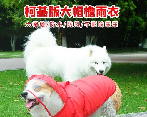 柴犬防水衣服的价格是多少？