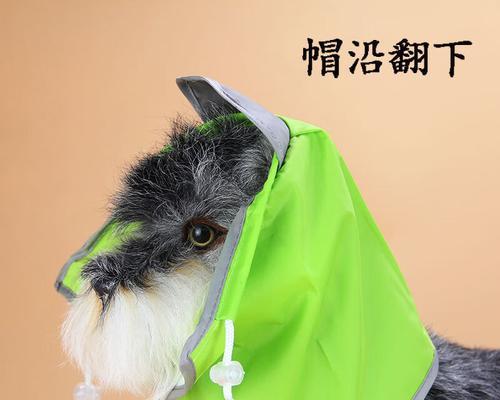 柴犬防水衣服的价格是多少？