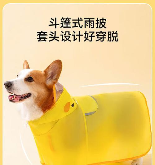 柴犬防水衣服的价格是多少？