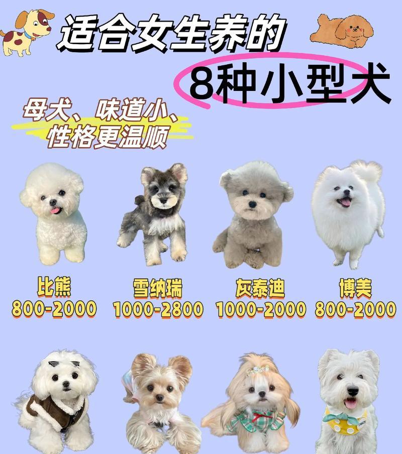 本土小型犬种类有哪些？它们的特性是什么？