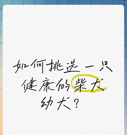 柴犬销毁率上涨多少算正常？如何判断柴犬的健康状况？