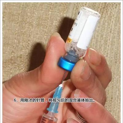 泰迪幼犬疫苗接种的费用是多少？打针前后需要注意什么？