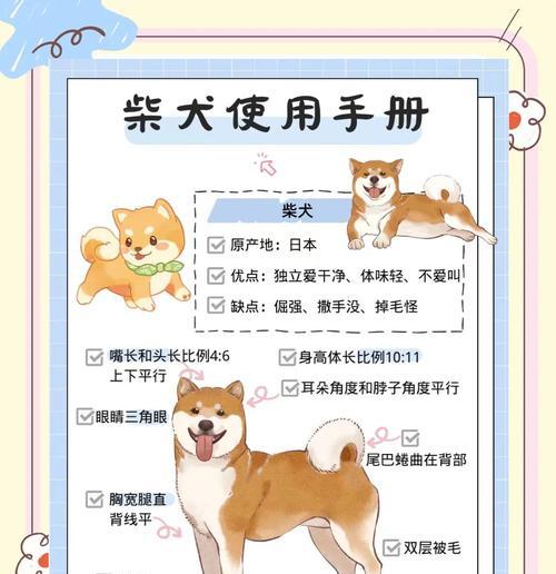 柴犬美容一次的费用是多少？定期美容对柴犬有何好处？