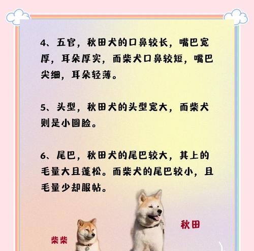 柴犬美容一次的费用是多少？定期美容对柴犬有何好处？