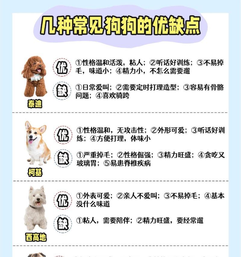 泰迪犬的体重上限是多少？