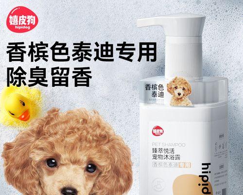 泰迪犬理发洗澡有必要吗？理发洗澡的费用大概是多少？