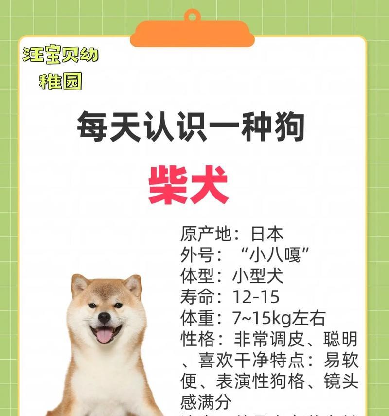 柴犬售价多少才算合理？