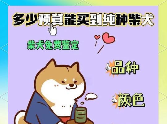 柴犬的市场售价是多少？