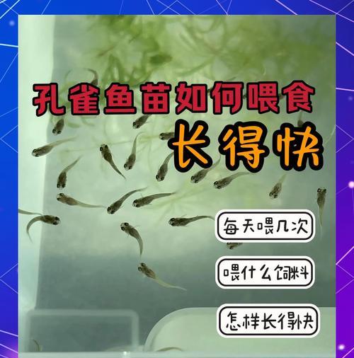 鱼苗放养的最佳季节是什么时候？放养后需要注意哪些问题？