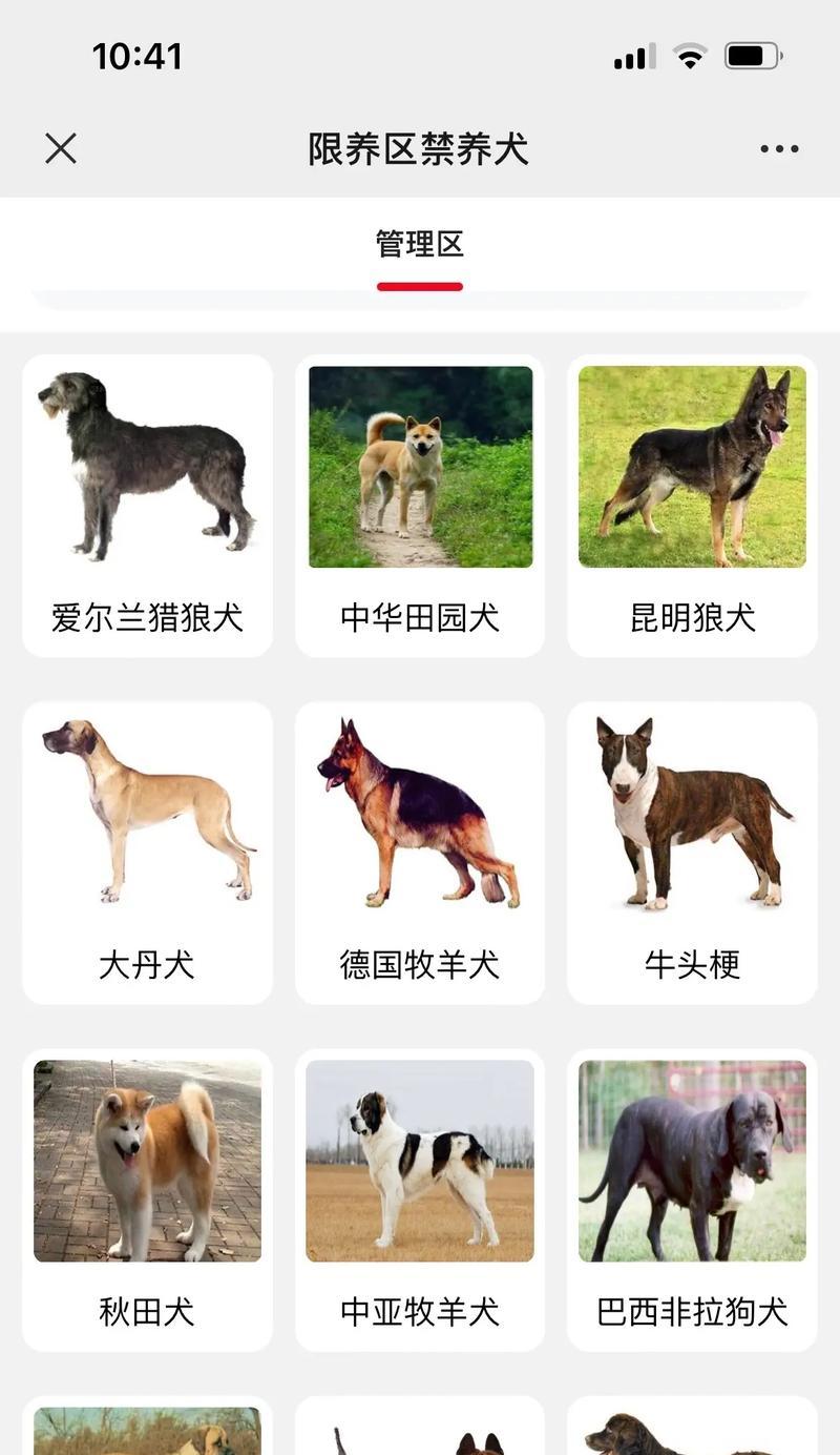 哪些大型犬属于禁养犬？了解禁养犬种的法律与规定。