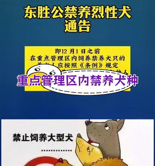 哪些大型犬适合在楼房中饲养？楼房养犬需要注意什么？