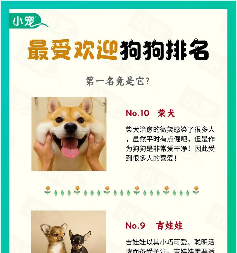 柴犬河南郑州能养吗多少钱？柴犬的饲养成本是多少？