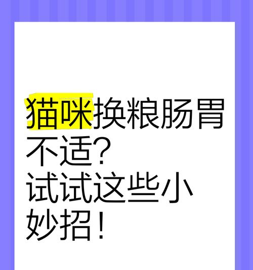 猫狗换粮为什么会吐？如何避免换粮导致的不适？