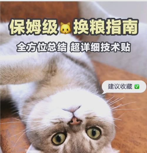 猫狗换粮为什么会吐？如何避免换粮导致的不适？