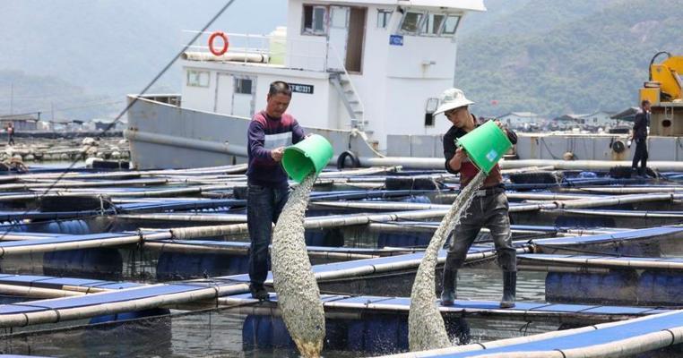 深海区投放鱼苗的正确地点是什么？