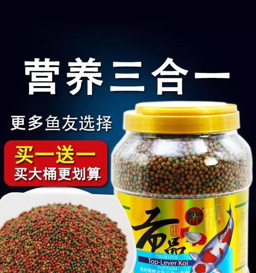 养鲤鱼苗应该喂什么食物消化好？鲤鱼苗的饮食管理有哪些要点？