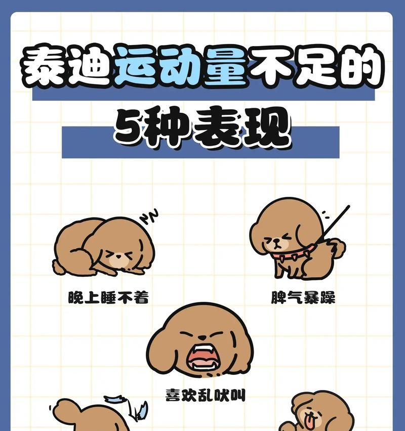 泰迪1个月小狗狗奶粉量是多少？如何正确喂养幼犬？