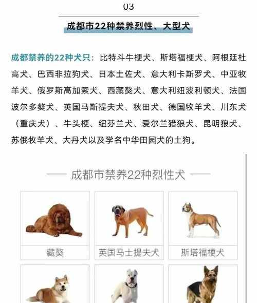 山西地区禁止饲养的大型犬品种有哪些？