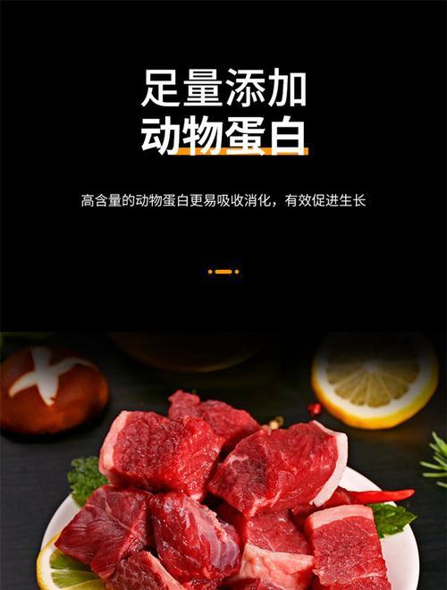 玛丽鱼苗的饲料选择有哪些？如何喂养最健康？