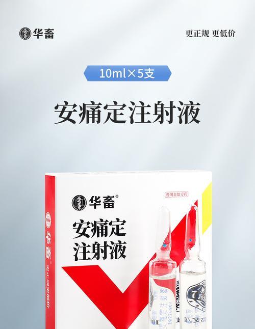 大型犬适用的止痛药有哪些？使用时应注意什么？