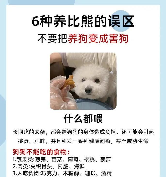 为什么有些狗偏爱猫粮的味道？这会影响它们的健康吗？