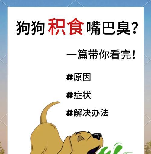 如何为狗增加食量？有哪些方法？