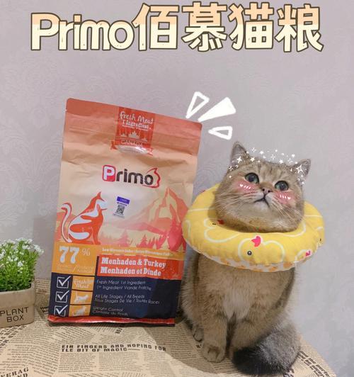 喜欢寻鲜猫粮的狗是什么品种？它们的饮食习惯如何？