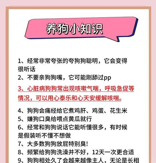 小型犬繁殖时应注意哪些事项？如何确保小狗健康？