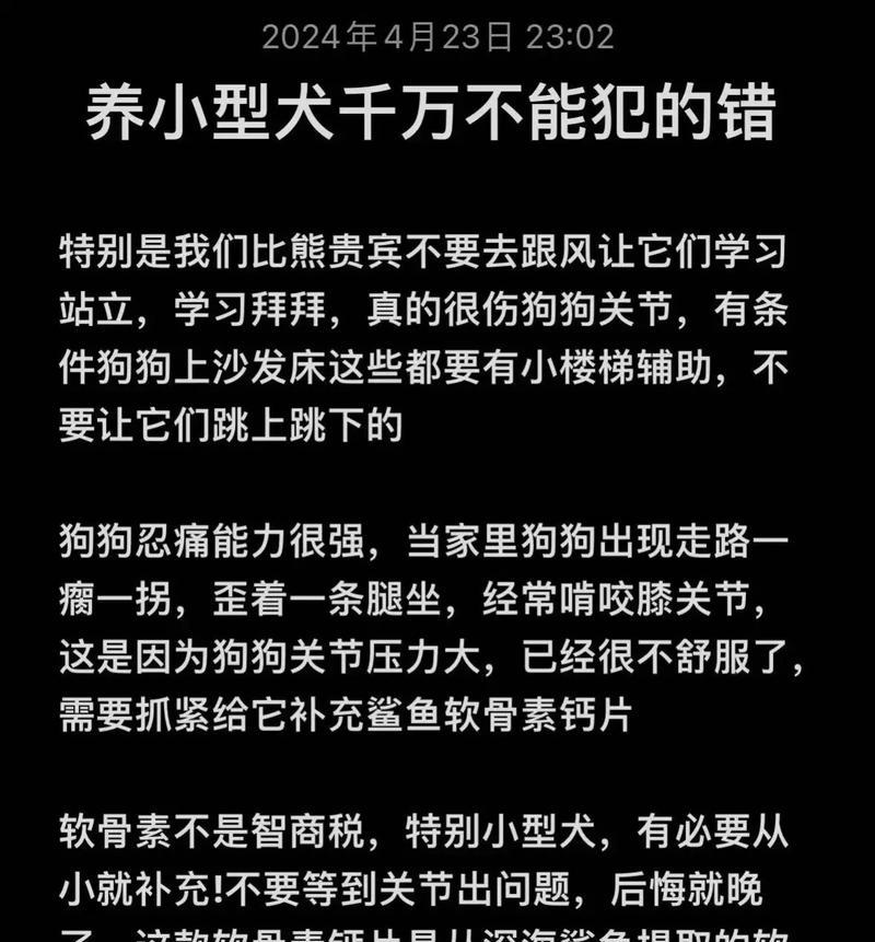 小型犬繁殖时应注意哪些事项？如何确保小狗健康？