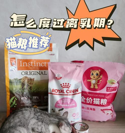 机器狗未吃完的猫粮如何处理？有哪些环保方法？