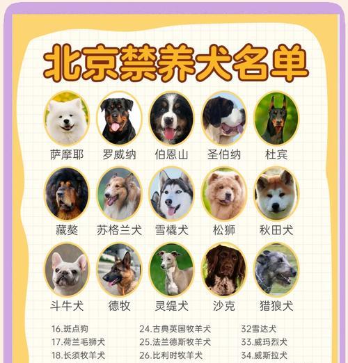 郑州地区禁止饲养哪些中大型犬种？如何查询当地禁养犬种名单？