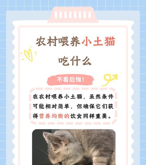 刚满月的狗能吃猫粮吗？正确的喂养方法是什么？