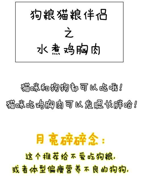 狗狗如何食用湿粮？湿粮的正确喂食方法是什么？